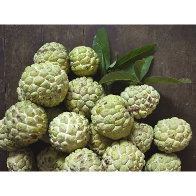 

BUAH SRIKAYA LOKAL / Perbuah