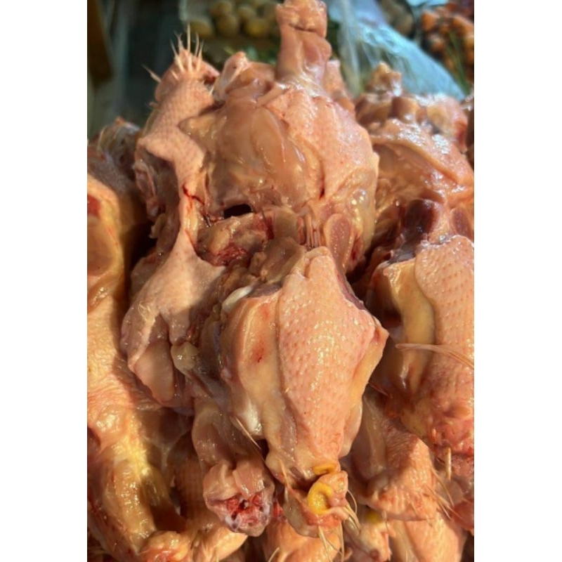 

Kerongkong bokong 1 kg punggung ayam murah