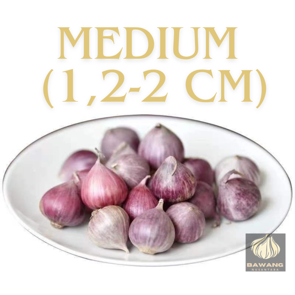 

BAWANG PUTIH TUNGGAL / LANANG / SOLO GARLIC IMPORT UKURAN SEDANG 1 KG / 1000 G