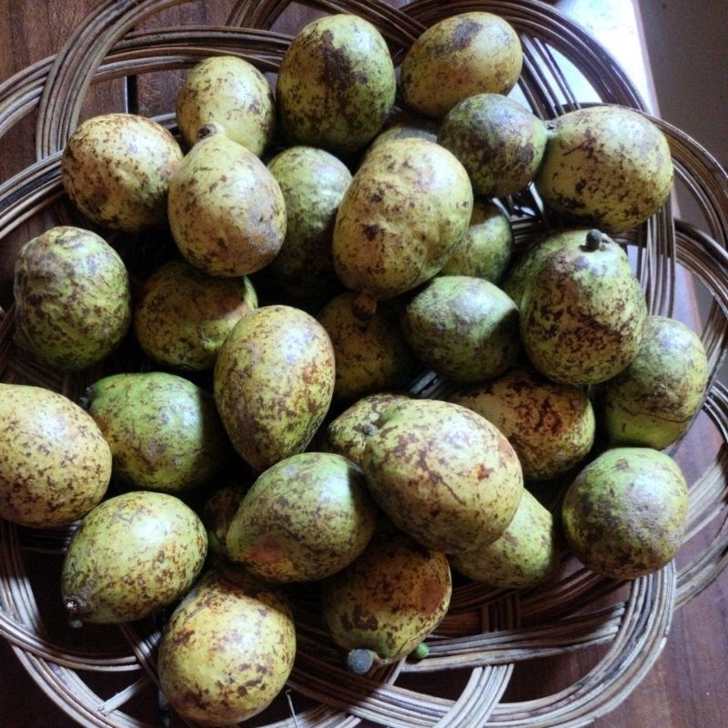 

matoa hijau tua super 500 gram