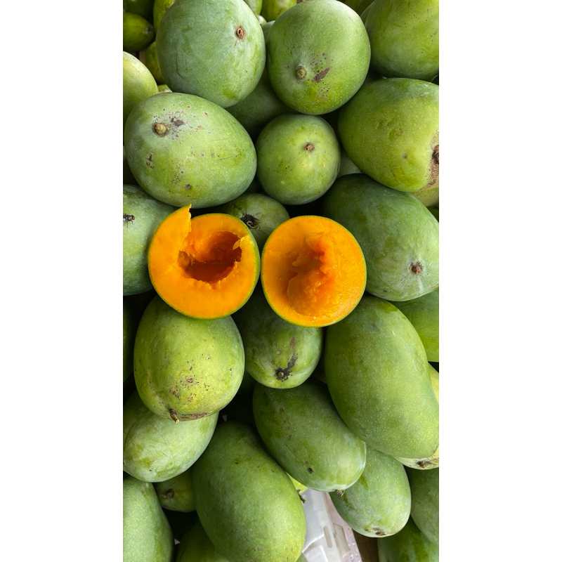 

MANGGA ALPUKAT 1KG ISI 2-3biji