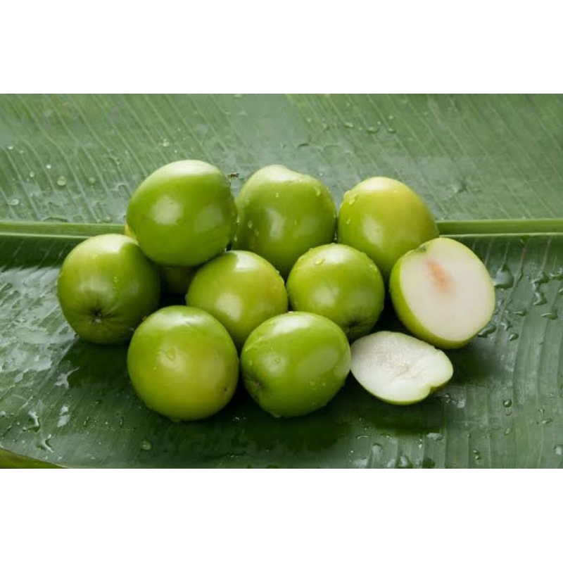 

BUAH BIDARA ASLI ( SIDR ) ISI 5 FRESH DIPETIK LANGSUNG DARI POHONNYA