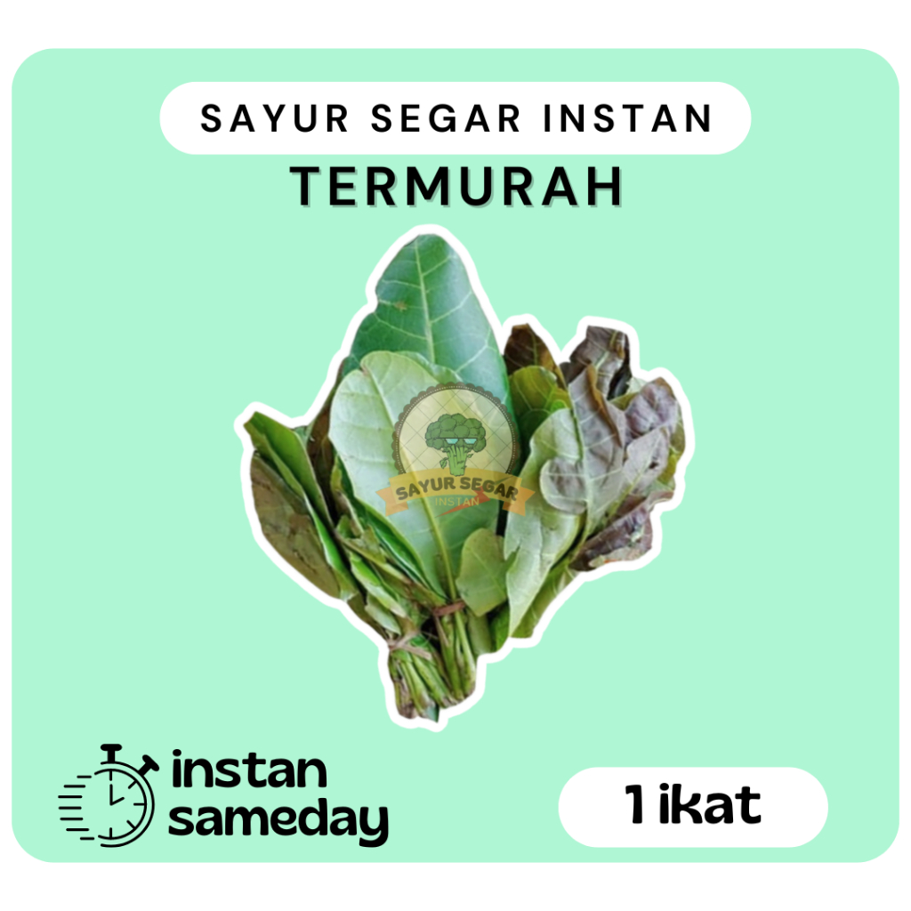 

Daun Jambu Mede Buat Lalap