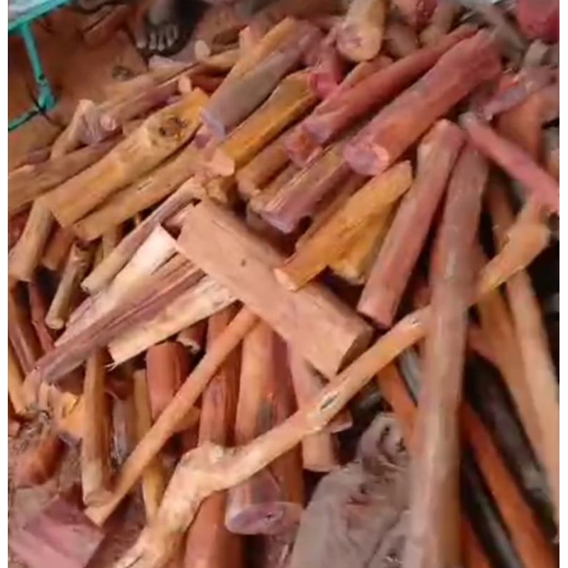 

kayu cecang kering 1 kg