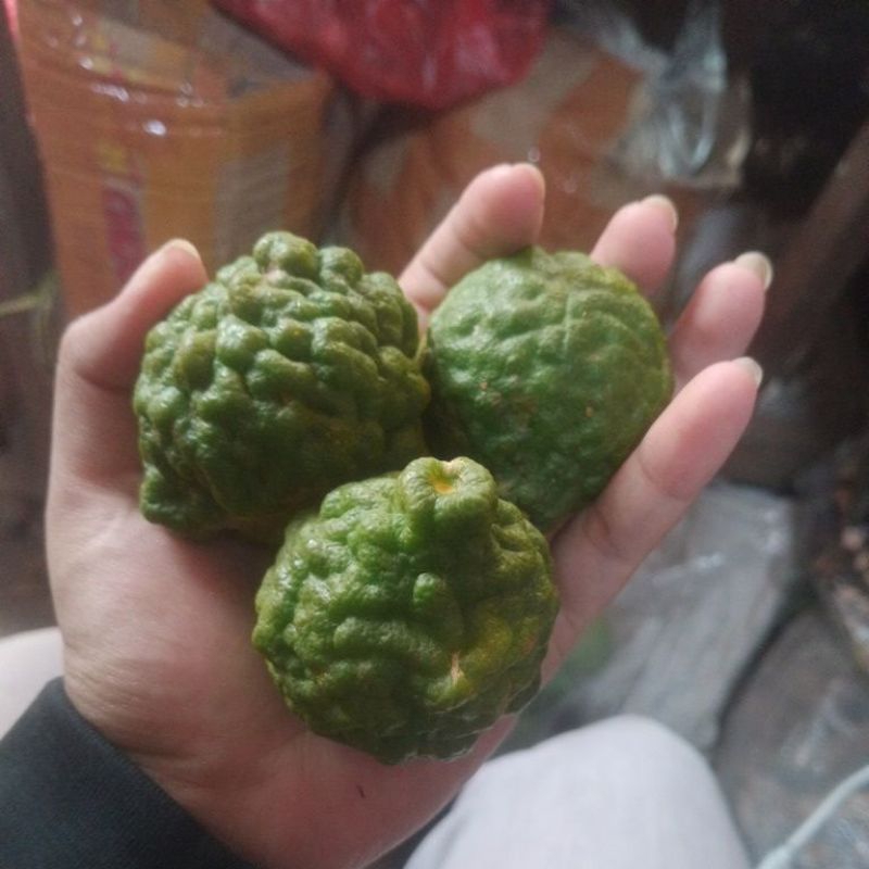

jeruk purut sedang isi 3biji