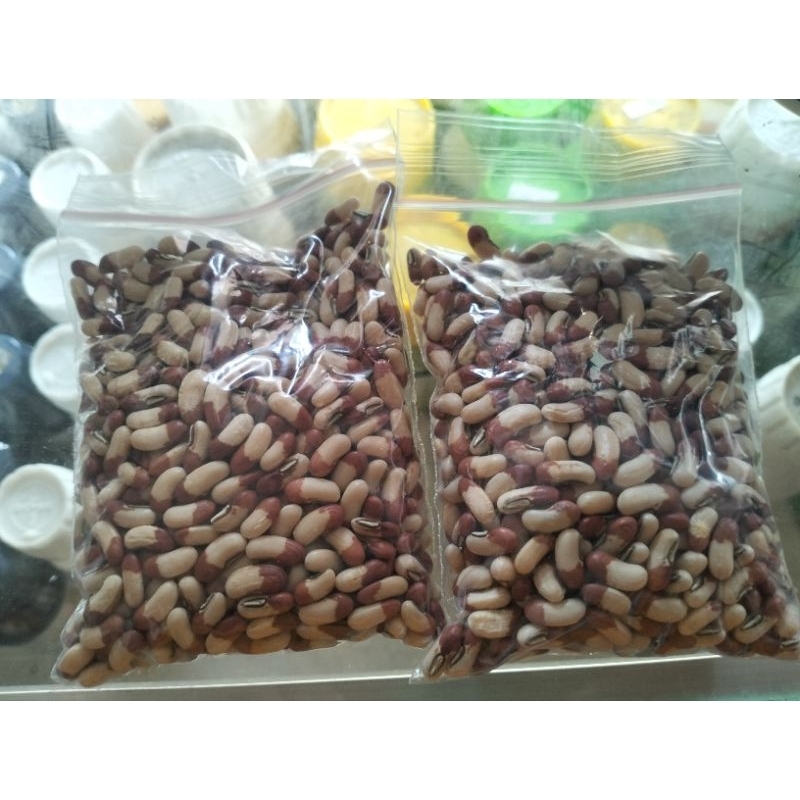 BIBIT KACANG PANJANG