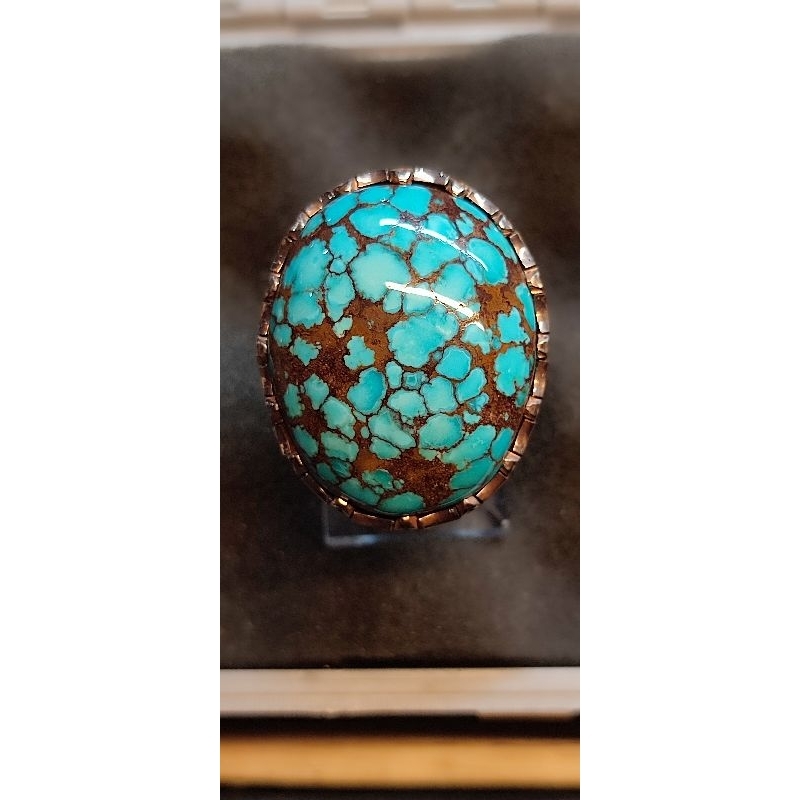 Pirus Mesir Biru Fancy Jumbo