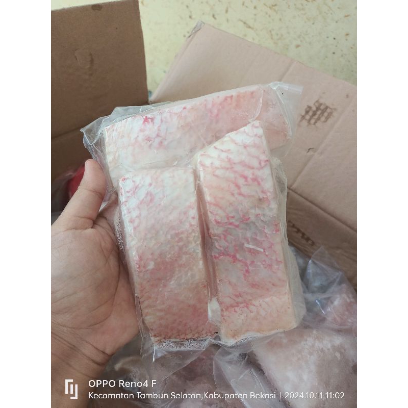 

filet ikan kakap kemasan 500gr fres dan segar