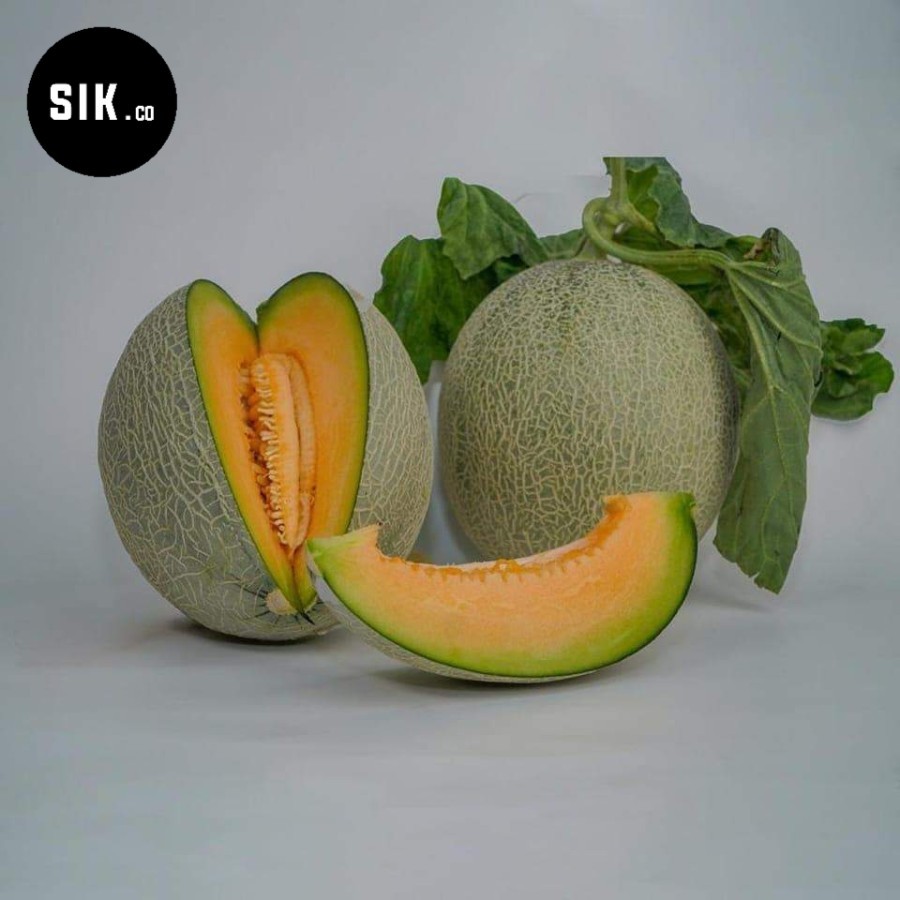Benih Melon Manis Hamiqua F1 Daging Orange - Benih Melon Premium Eksklusif - Benih Melon Hamigua F1