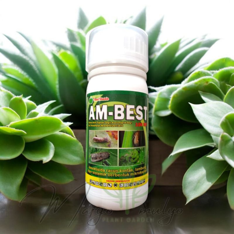 Insektisida Pembasmi Hama AMBEST 100ME Kemasan 100ml Original