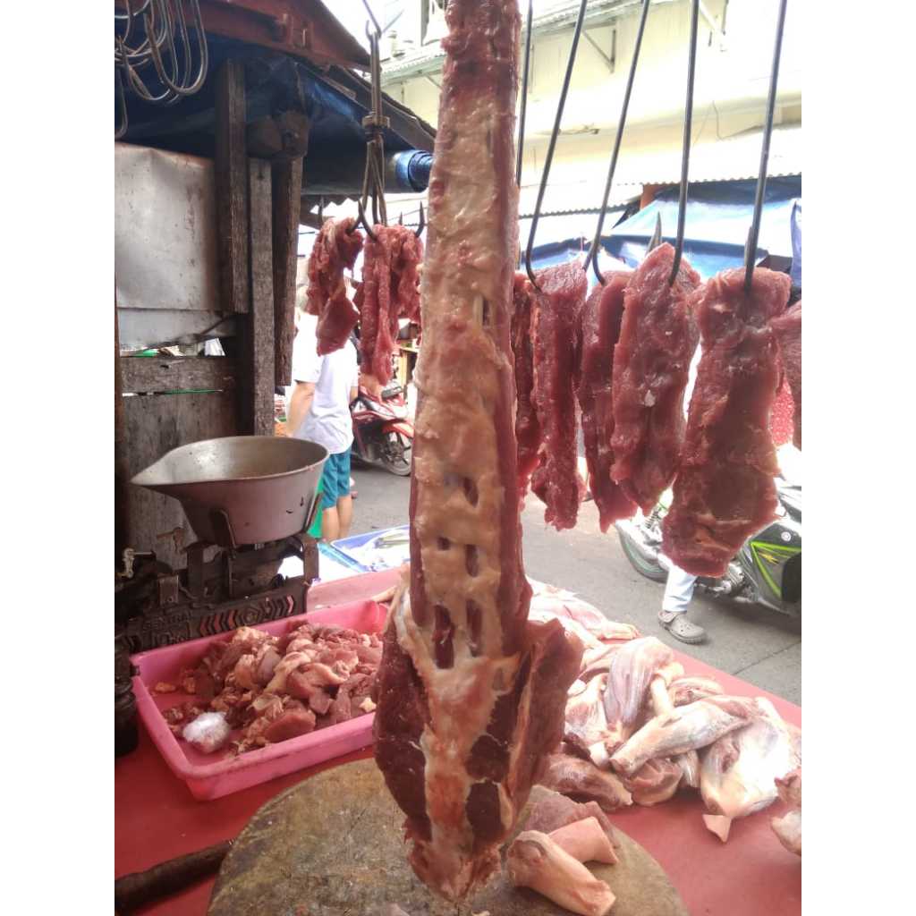

Daging Buntut Oxtail Sapi Lokal