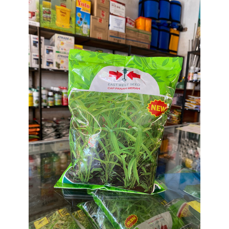 Serimpi benih kangkung 1kg