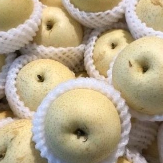 

buah pir buah per buah pear manis 1kg