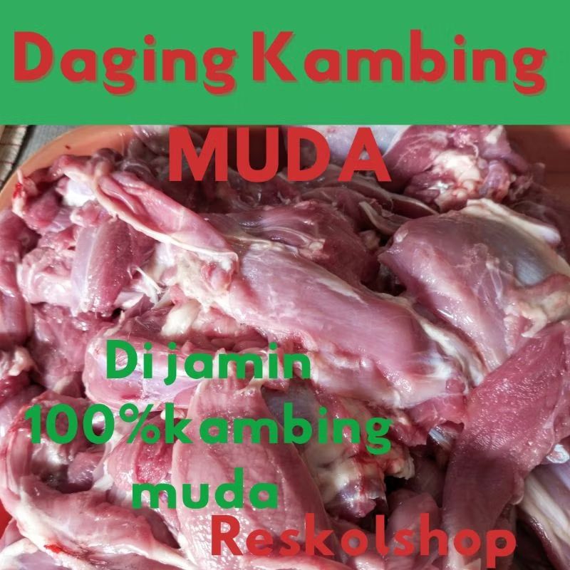 

Daging kambing muda 1kg
