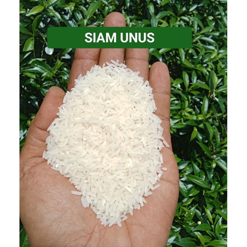 

BERAS SIAM UNUS / BERAS HANYAR / BERAS BANJAR / BERAS KALIMANTAN / BERAS LOKAL / BERAS PREMIUM / BERAS INSTANT / BERAS MURAH