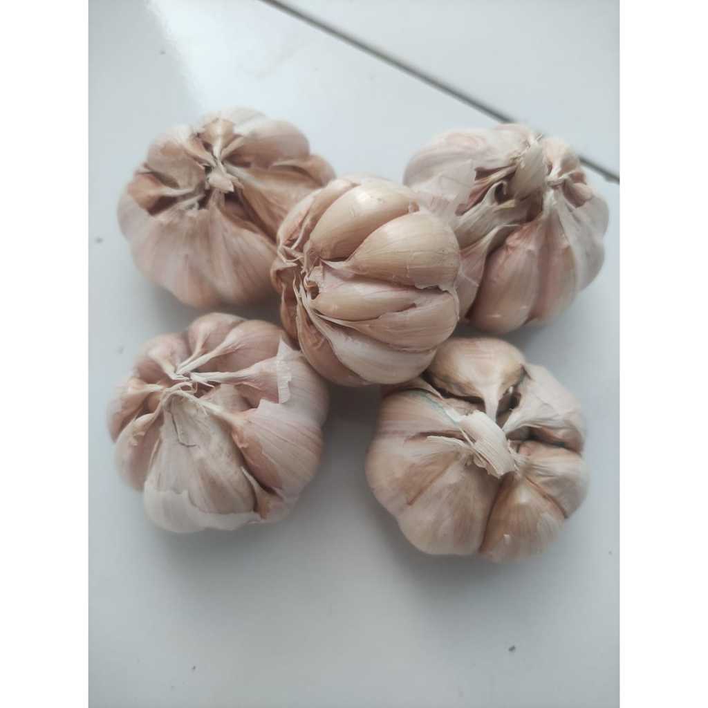 

Promo Bawang PUTIH 100gram