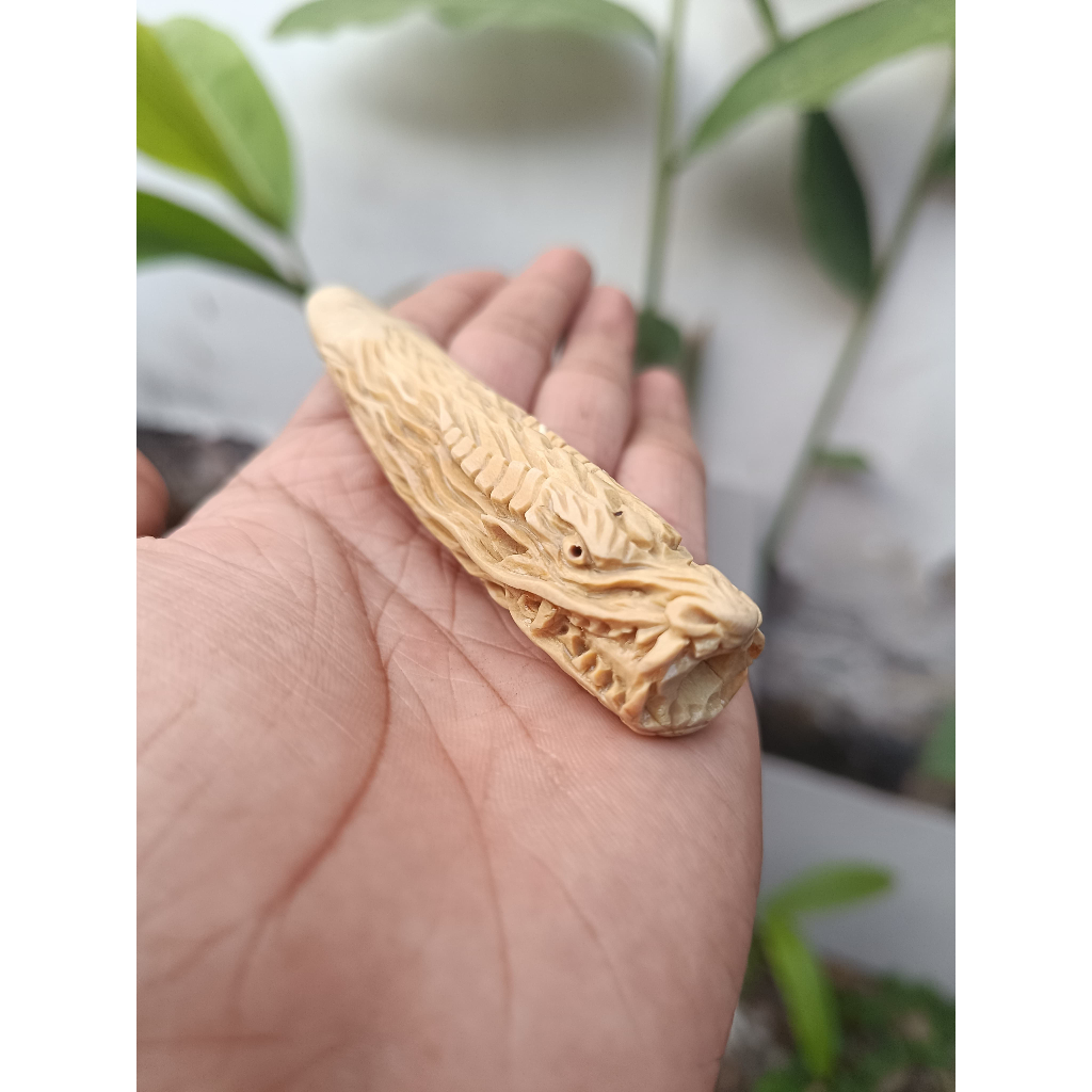 Pipa Once Akar Bahar Putih Asli Ukir Naga Panjang 9-10 cm Berkualitas