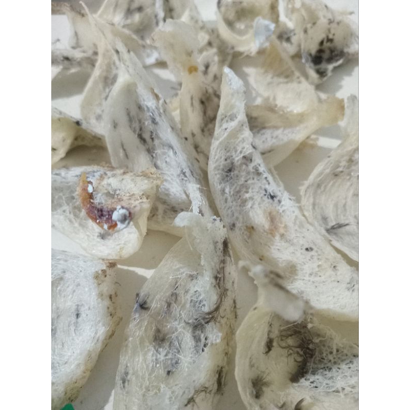 

SARANG WALET ASLI 100%!!! KERING KOTOR. MANGKOK,SUDUT 5-20gr