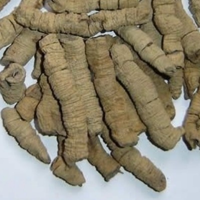 

Ba Ji Tian Morinda officinalis 100 gram 巴戟天