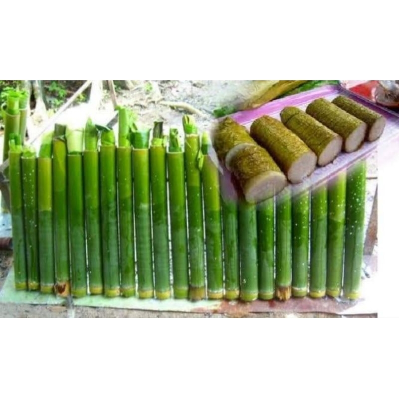 Potongan bambu lemang