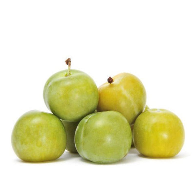 

TURTLE EGG PLUM - PLUM MADU - SUKABUAH