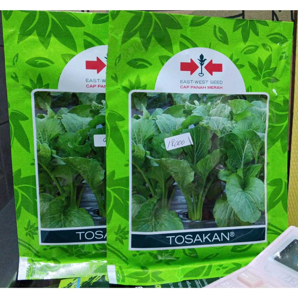 BENIH UNGGUL Sawi TOSAKAN