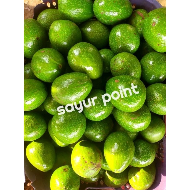 

Alpukat 1kg
