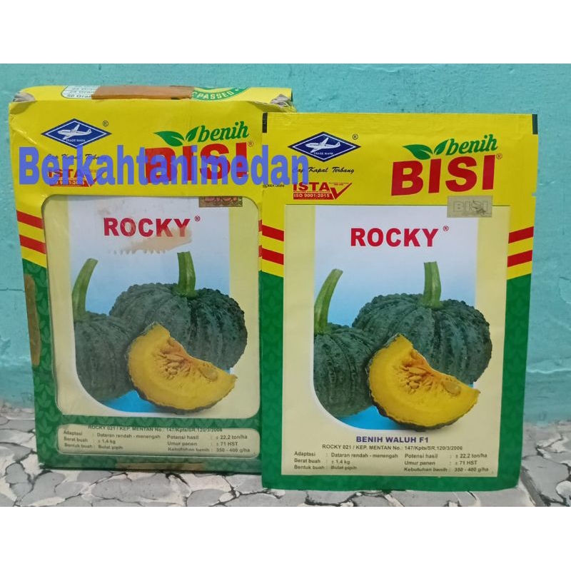 Benih Labu Kuning Hibrida Rocky isi 5 gram