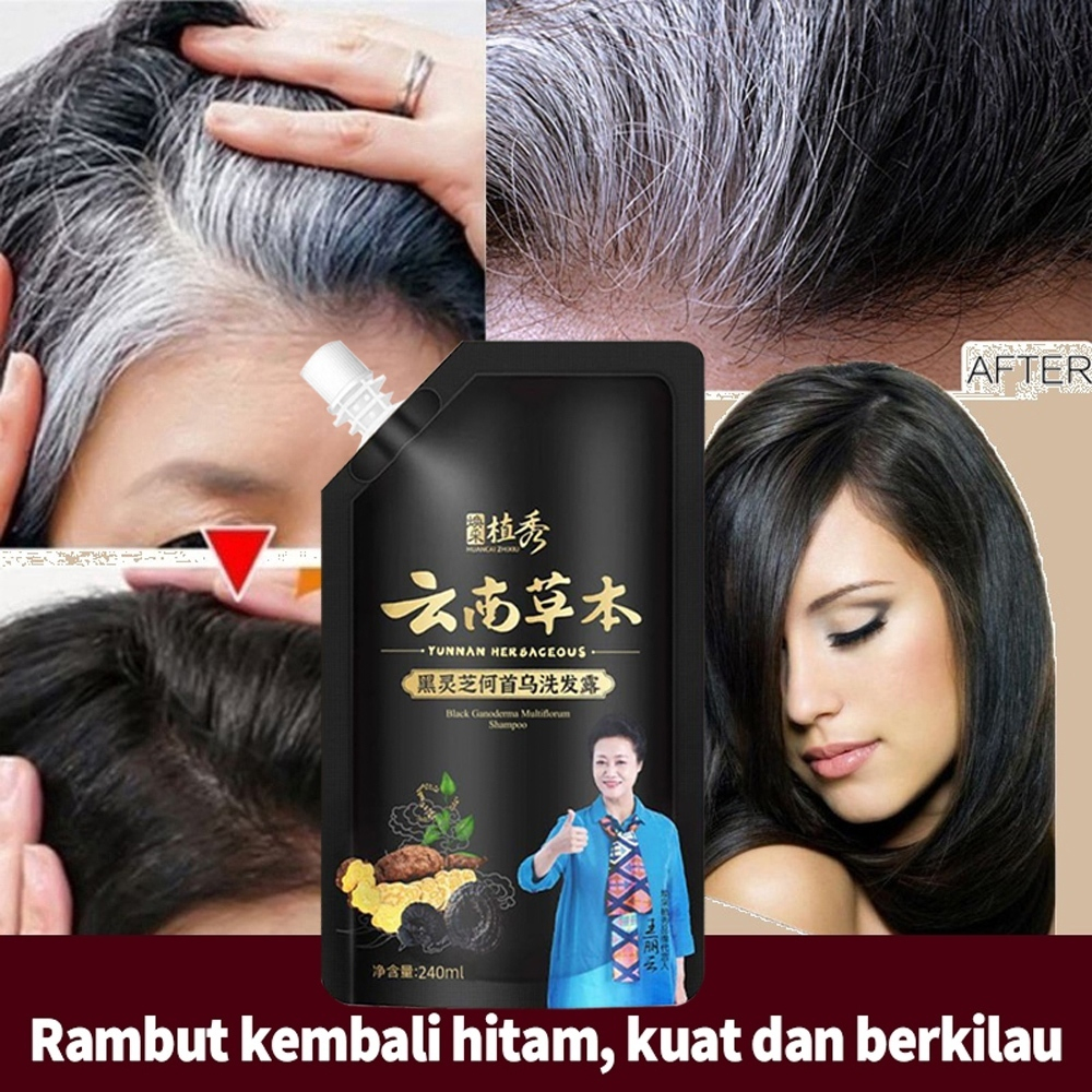 Sampo Semir Pewarna Rambut Permanen / YUNNAN Shampoo Penghilang Uban Menghitamkan Rambut