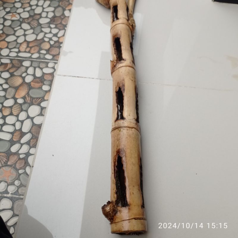 Bambu unik koleksi combong alami