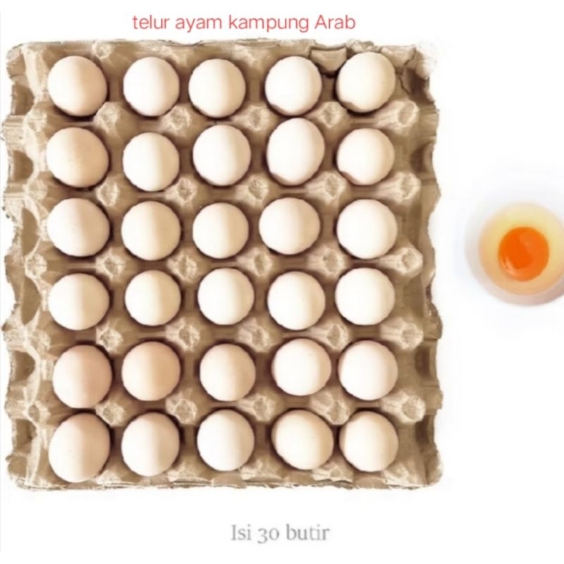 

telur ayam kampung Arab organik