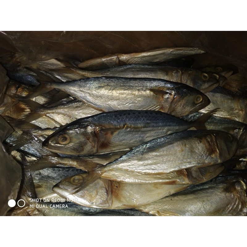 

Ikan Asin Peda Putih