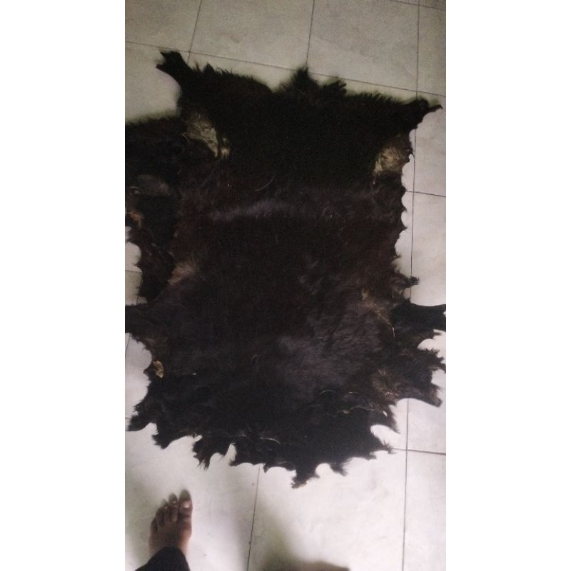 kulit kambing olahan kering secara kimiawi