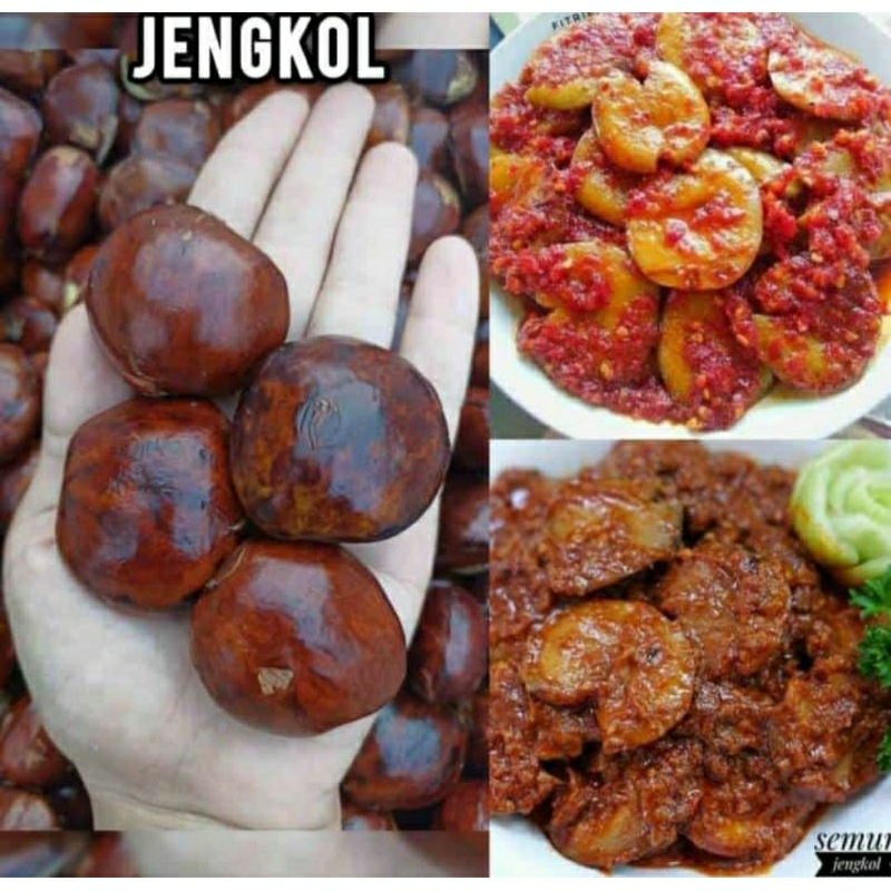 

jengkol tua 1 kg promo