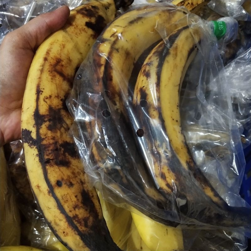 

Pisang Tanduk 500-600g (kisaran isi 2-3buah)