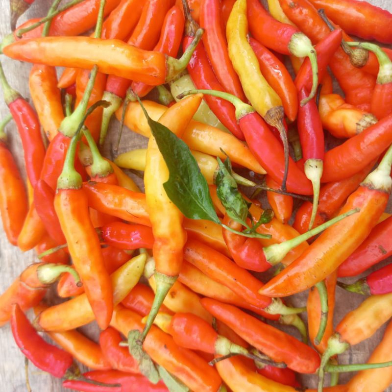 

cabai rawit fresh 1kg