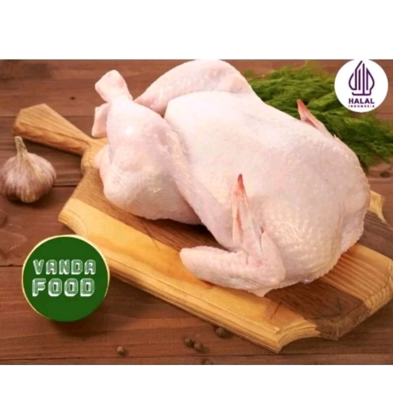 

Frozen Ayam Karkas Whole 600-700 gr