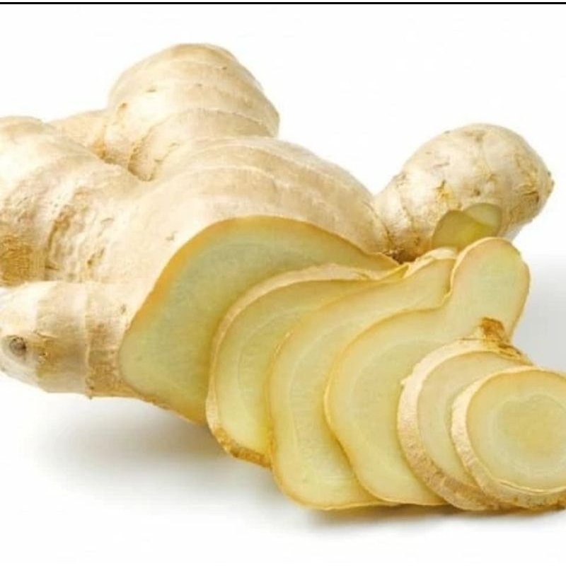 

lampuyang segar 1 kg