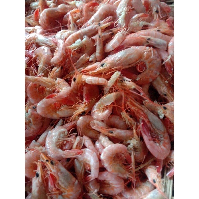 

Udang Rebus 500 gram