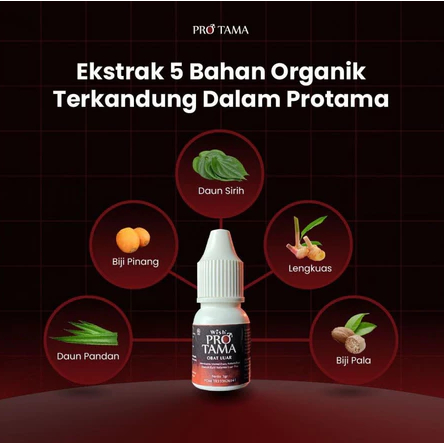 Wish Protama Obat Oles Luar PROTAMA ASLI ORIGINAL Dr Boyke Boyke Dian Nugraha