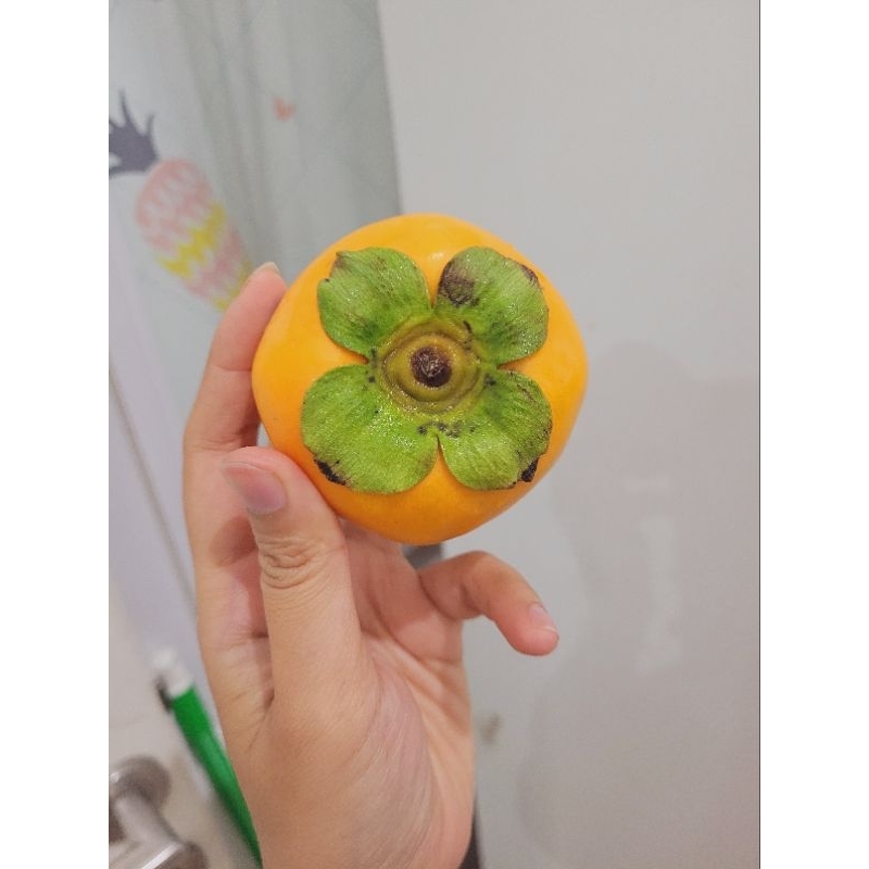 

Persimon Kesemek Manis