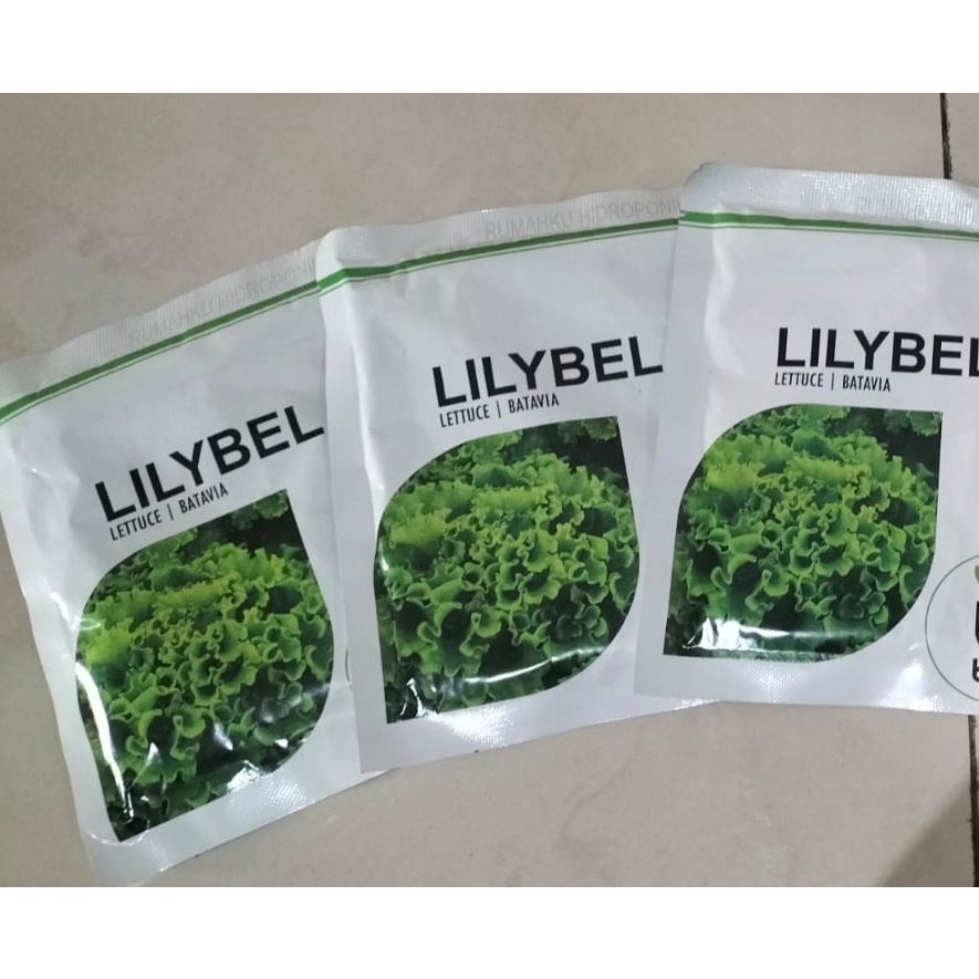 Benih Bibit selada Batavia Lilybel 1000 pill - Bejo