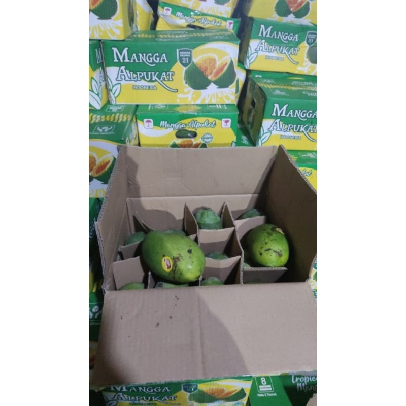 

Mangga Alpukat 1 kardus isi 5 kg