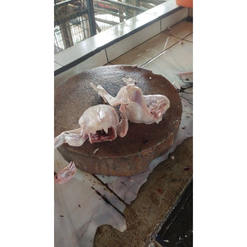 

ayam fresh