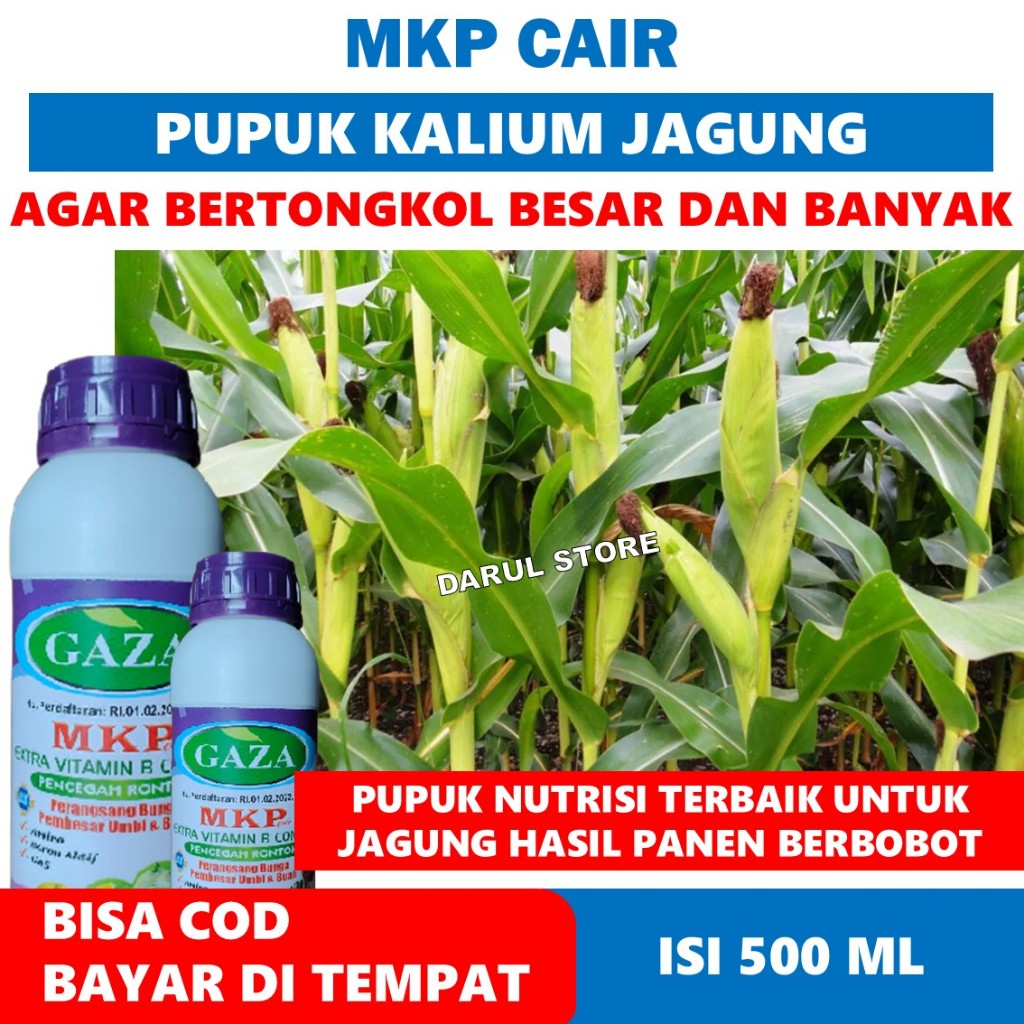 LANGSUNG KIRIM isi 500 ML MKP GAZA PUPUK PEMBESAR TANAMAN JAGUNG PALING BAGUS, Obat Jagung Manis Bia