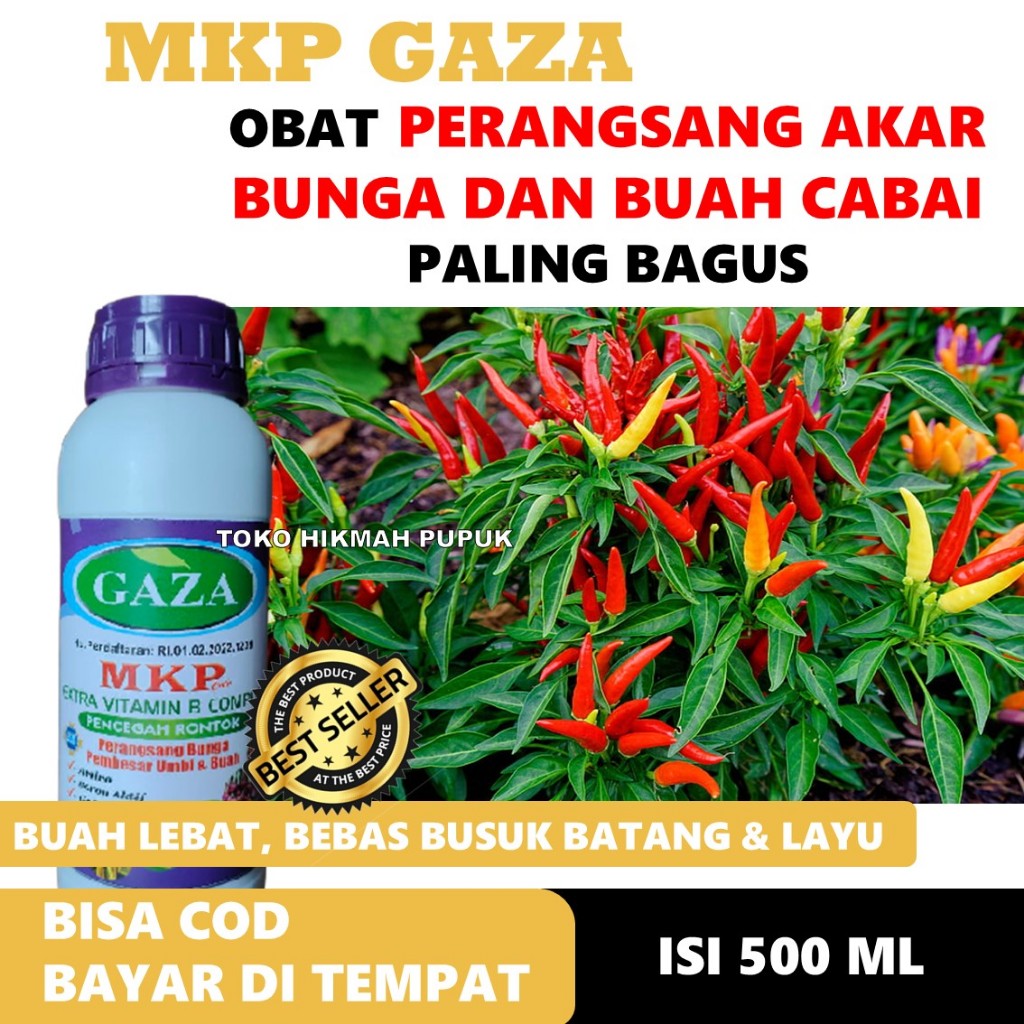 (LANGSUNG LEBAT) MKP GAZA OBAT CABE RAWIT TERBAIK MERANGSANG AKAR BUNGA DAN BATANG, Obat Penyubur Ta