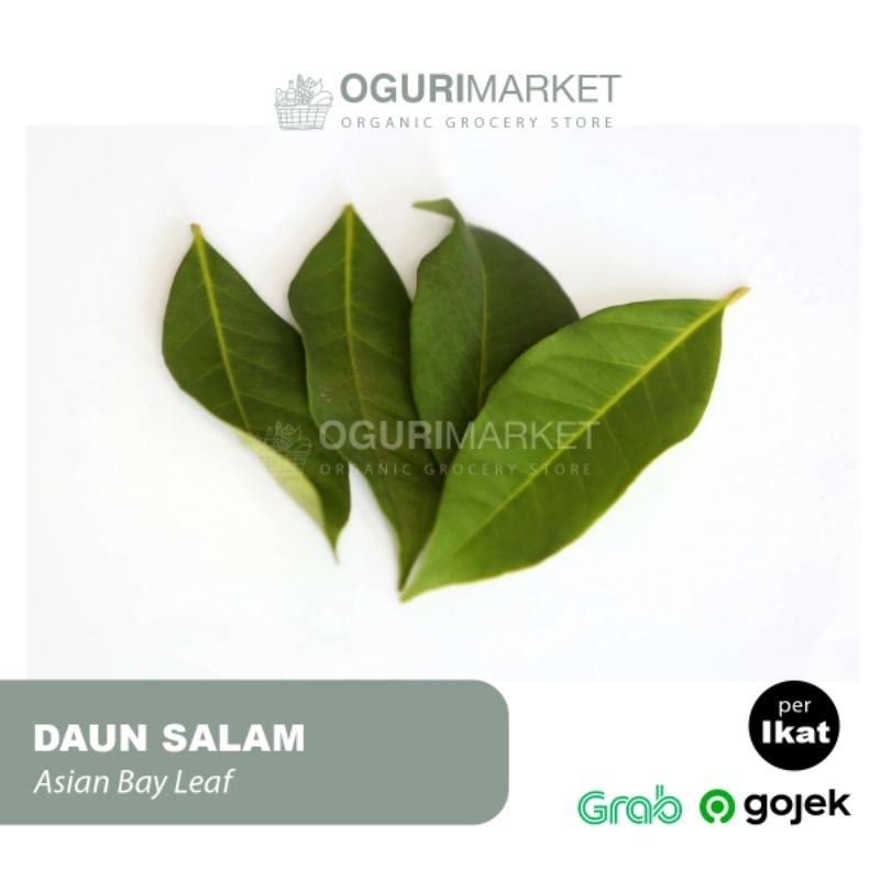 

Daun Salam Asian Bay Leaf per ikat