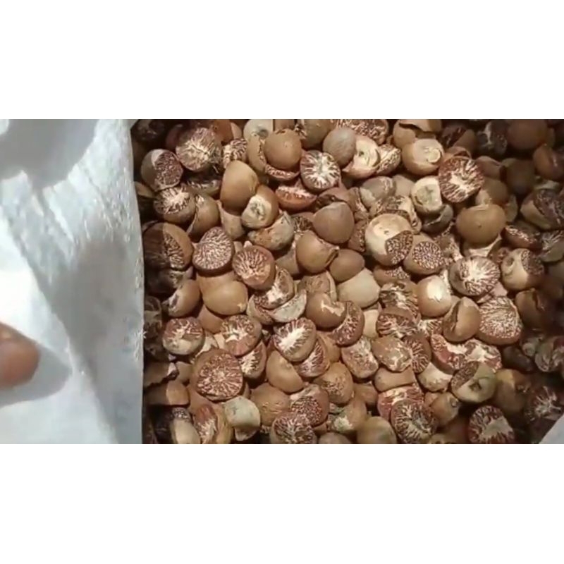 

Pinang kering 1 kg (1000 gram) kualitas terbaik