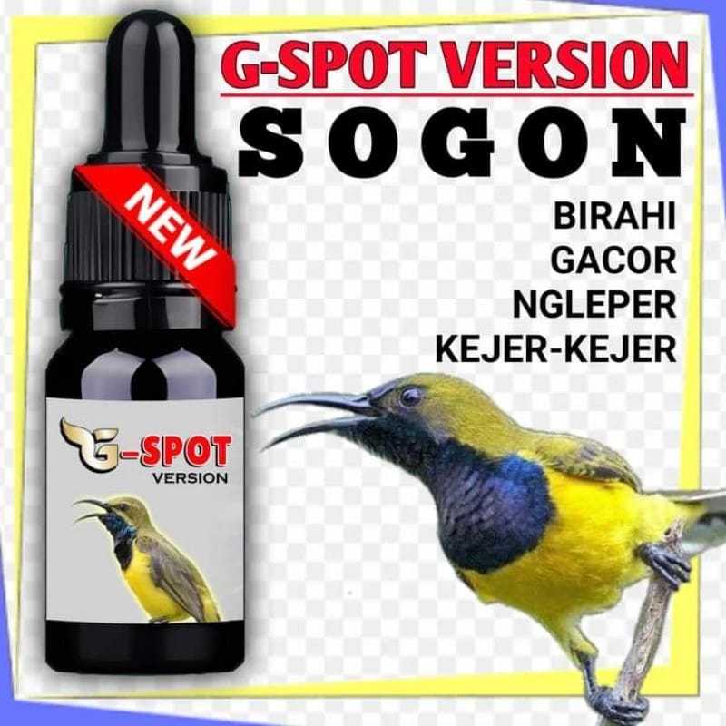 G SPOT SOGON VITAMIN GSPOT SOGON VITAMIN gspot PENGGACOR KHUSUS BURUNG SOGON KONIN PLECI