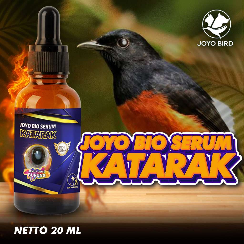 OBAT UNTUK BURUNG KATARAK | MATA NITIK PUTIH | BIO SERUM KATARAK BURUNG